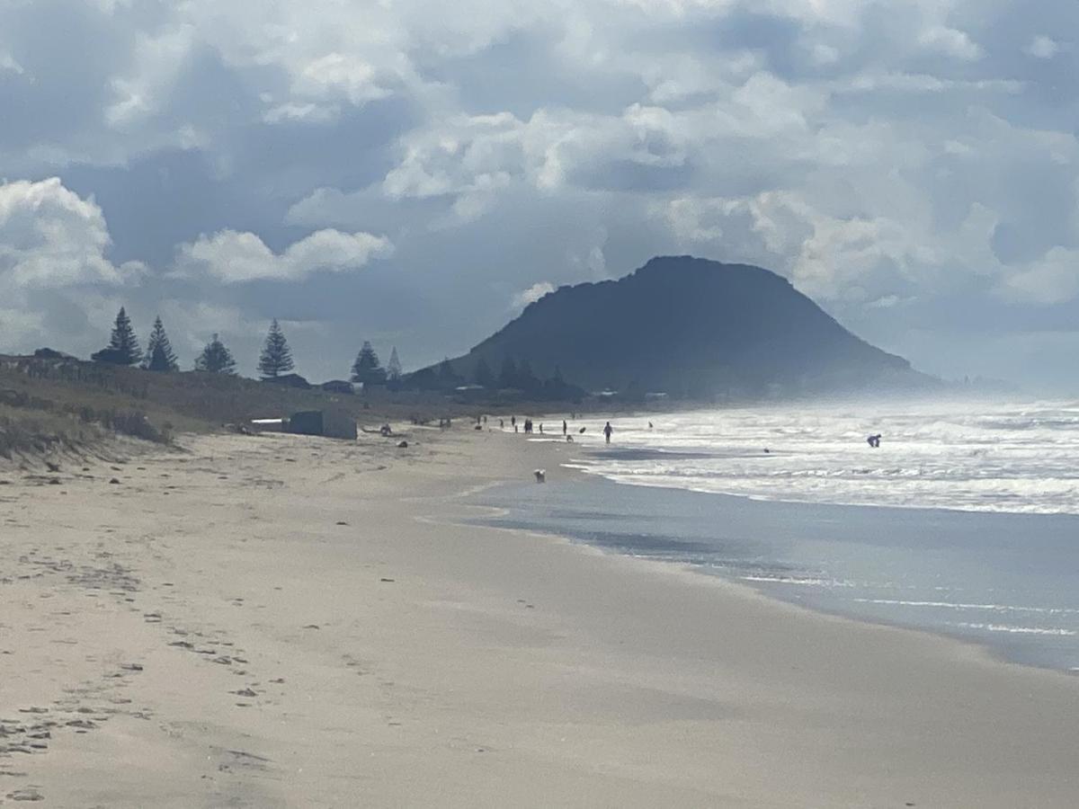 Ferienwohnung Superb Beachside Location, Private And Tranquil Mount Maunganui Exterior foto
